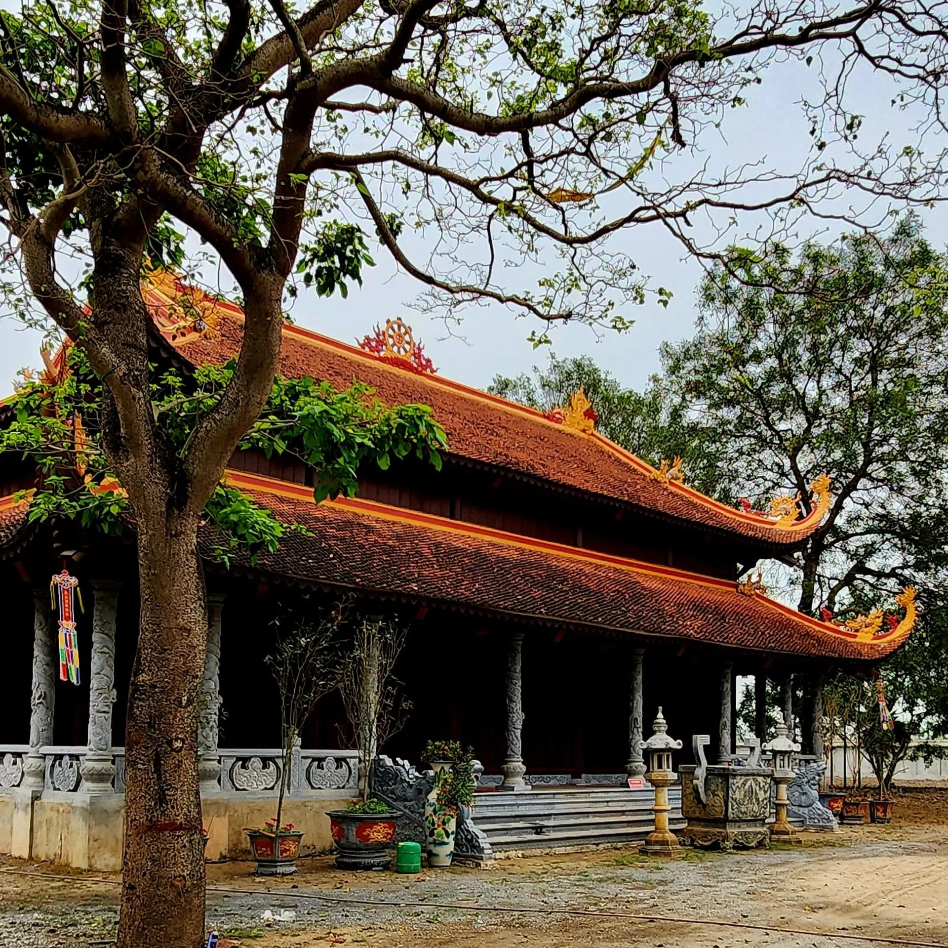 Vietnam Workshop 3
